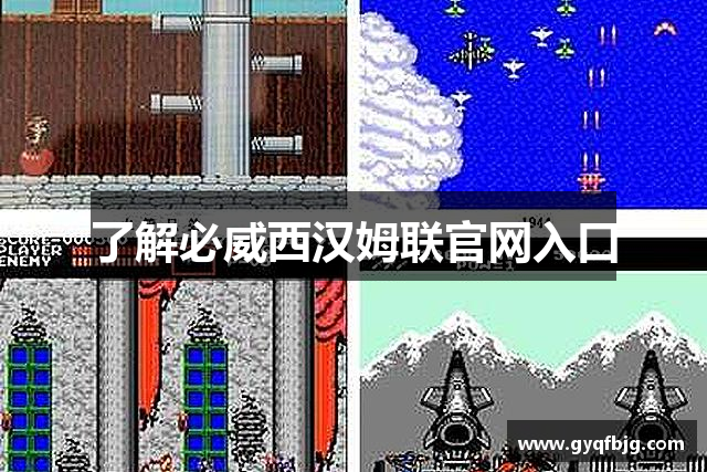 了解必威西汉姆联官网入口